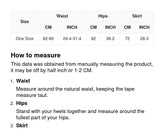 Women Floral Print Chiffon Stretch High Waisted Pleated Skirt Dress Sai Feel